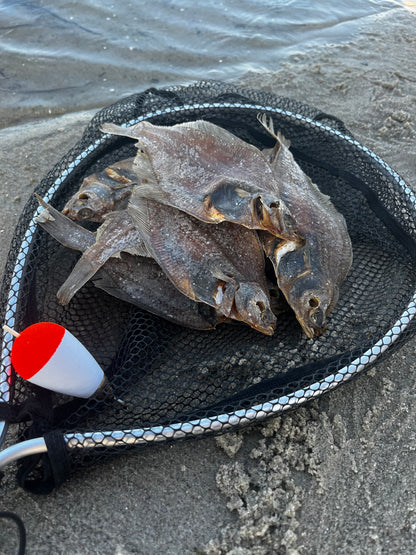 Tørrede fladfisk til hunde i fiskenet ved havet