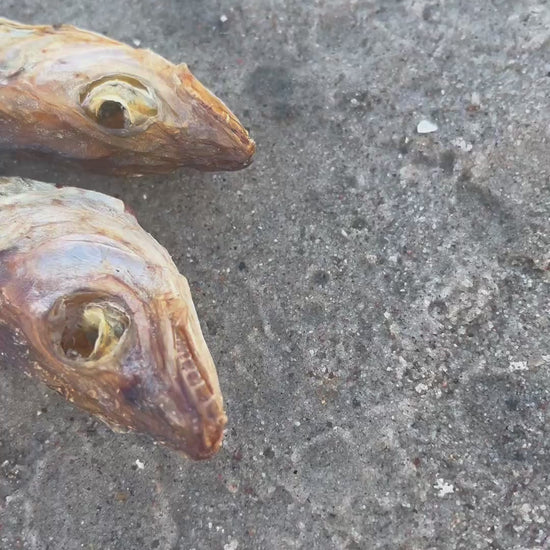 WuffItUp Hvilling – naturlig tørret fiskesnack til hunde