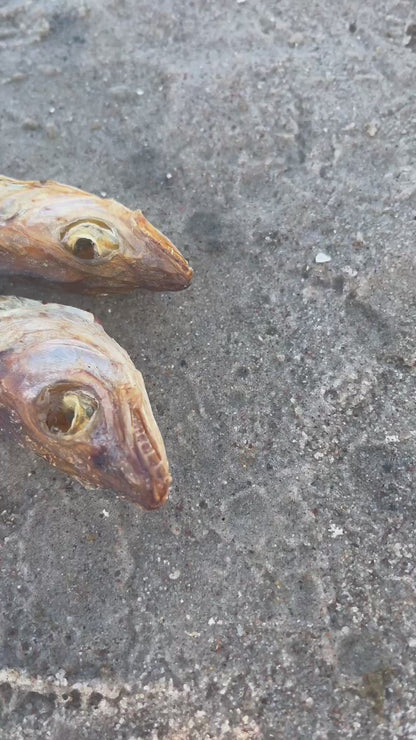 WuffItUp Hvilling – naturlig tørret fiskesnack til hunde