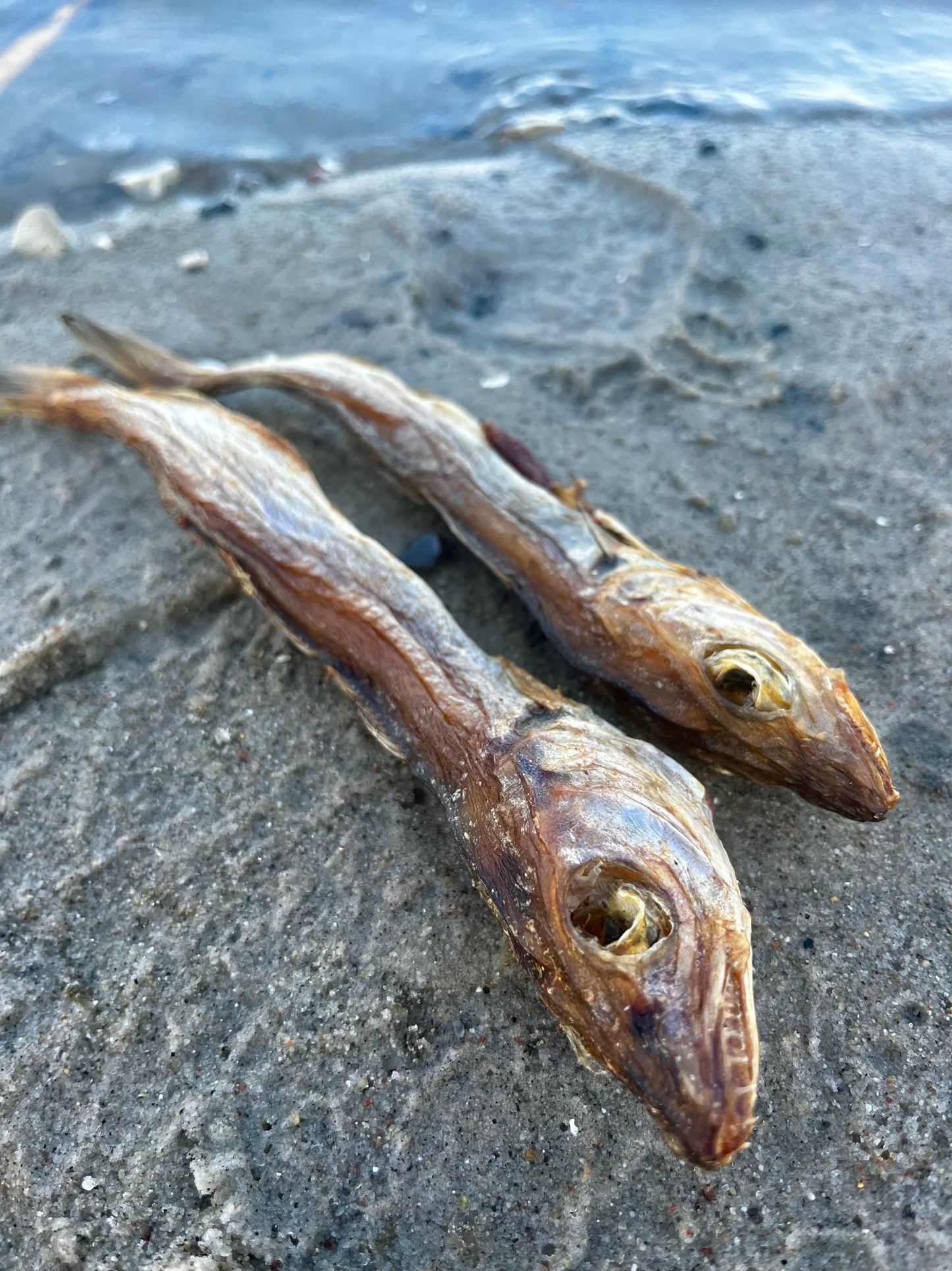 Tørret hvilling fra WuffItUp – naturlig fiskesnack til hunde